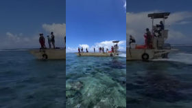 Corail massacré à Teahupo'o par Paris 2024 by Vidéo